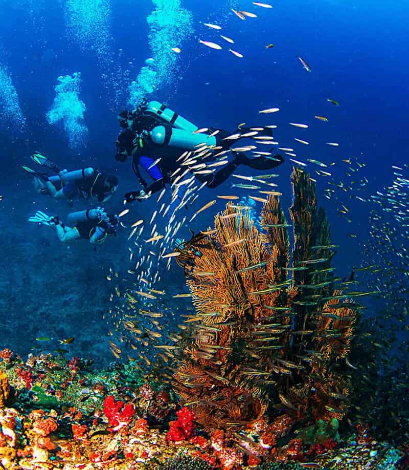Memorable and Fantastic Things to Do in Phu Quoc Island gallery image 8