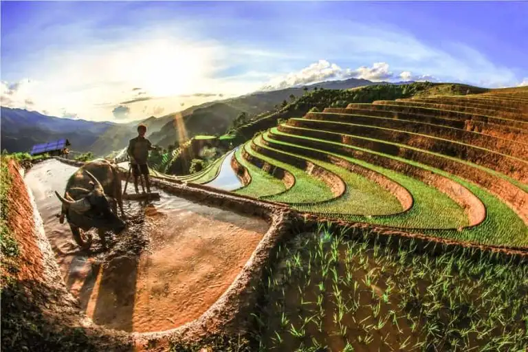 Pu Luong Trekking & Nature Tour