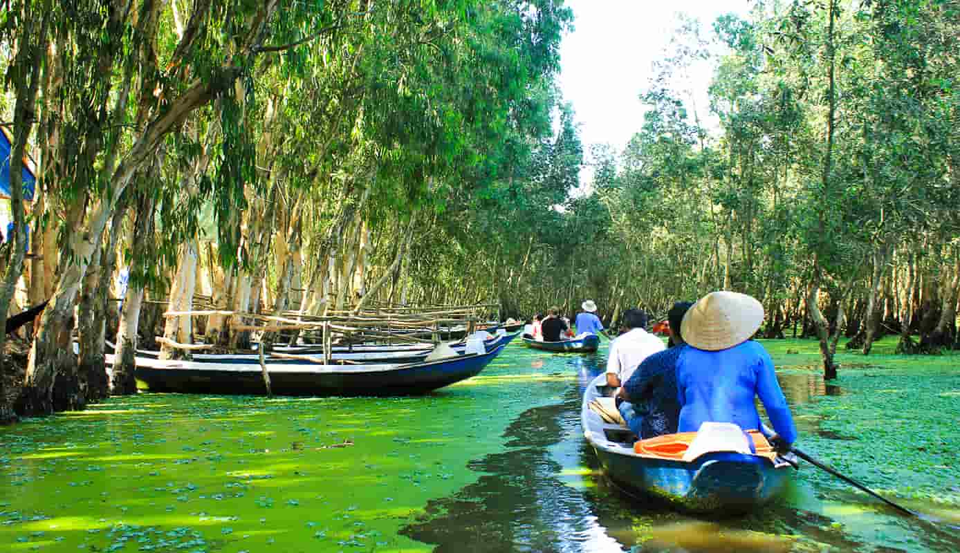 Tra Su Cajuput Forest and Sam Mountain gallery image 3